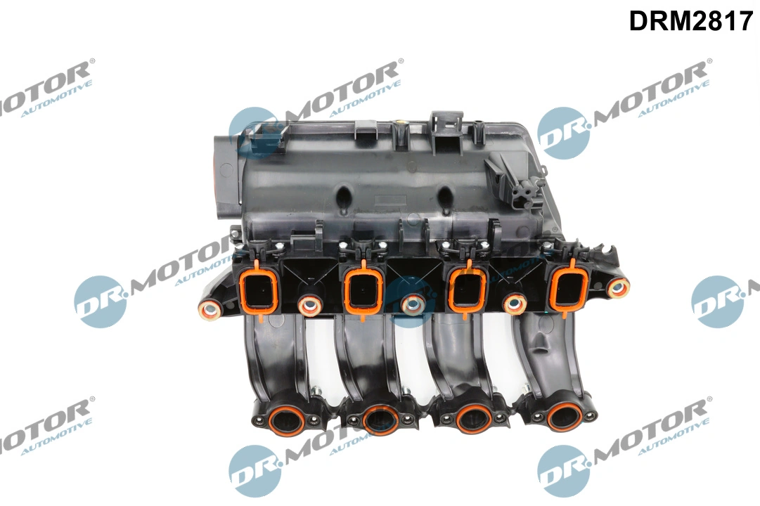 Intake Manifold Module